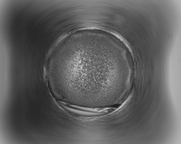 X0000087641385200705311318