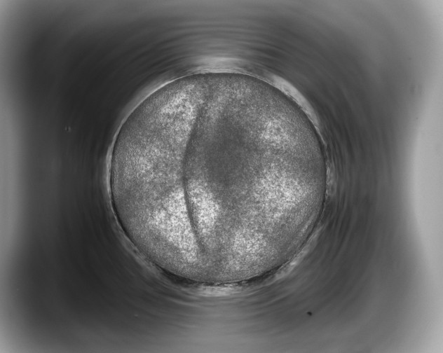 X0000087641386200705311318