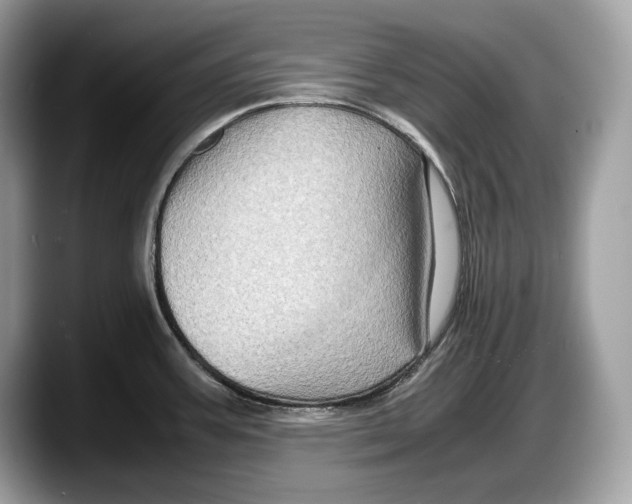 X0000087641387200705311318