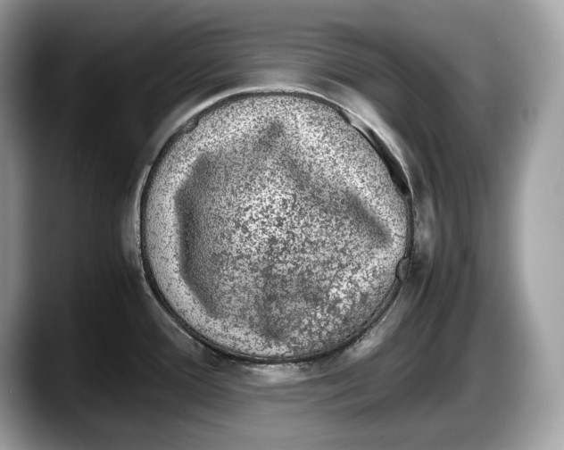 X0000087641388200705311318