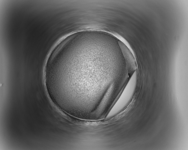 X0000087641389200705311318