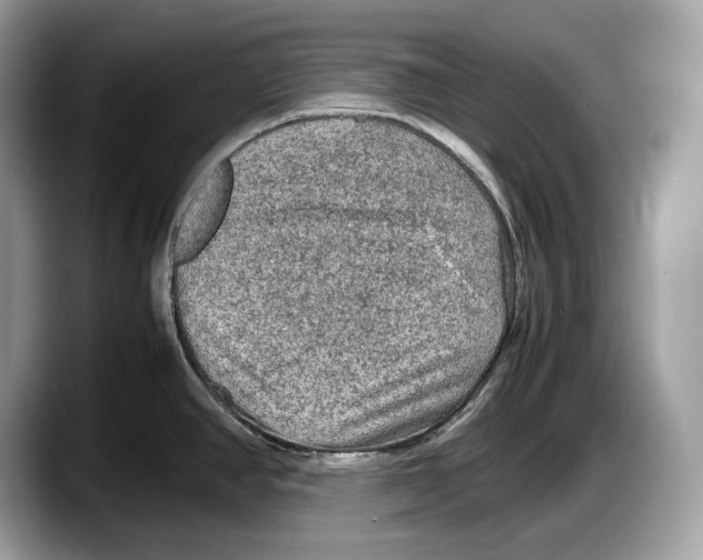 X0000087641390200705311318