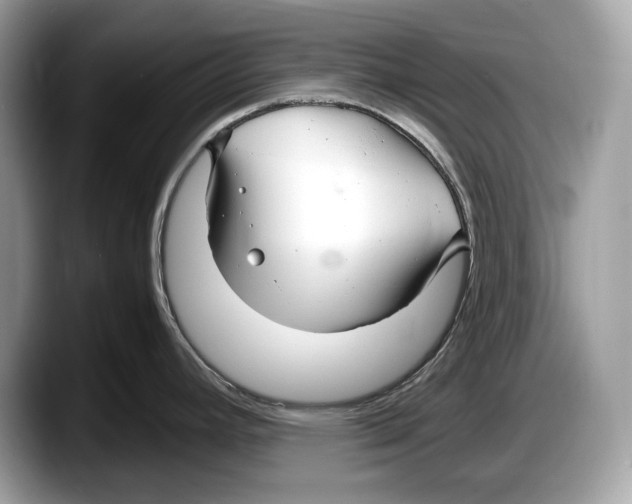 X0000087641392200705311318