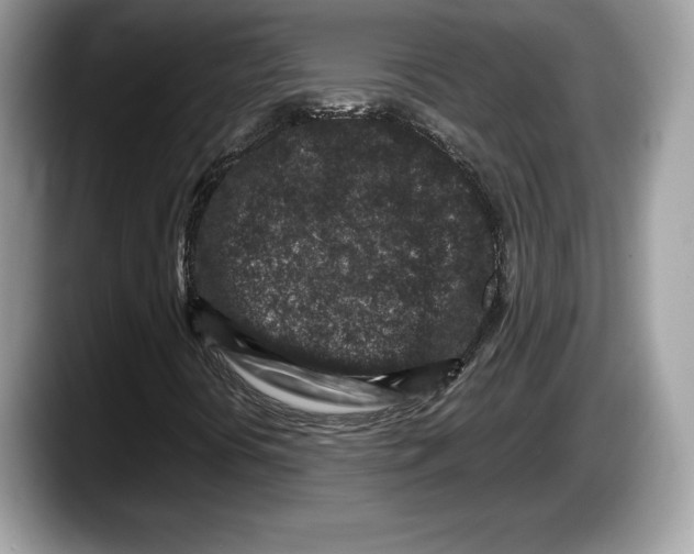 X0000087641394200705311318