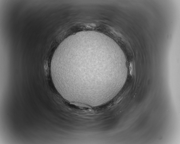 X0000087641395200705311318