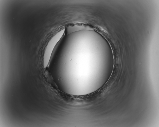 X0000087641398200705311318