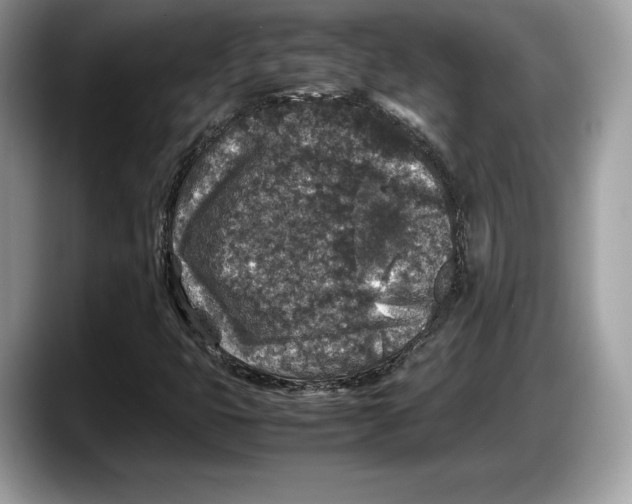 X0000087641399200705311318