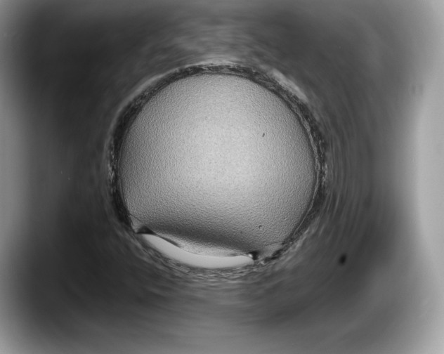 X0000087641400200705311318