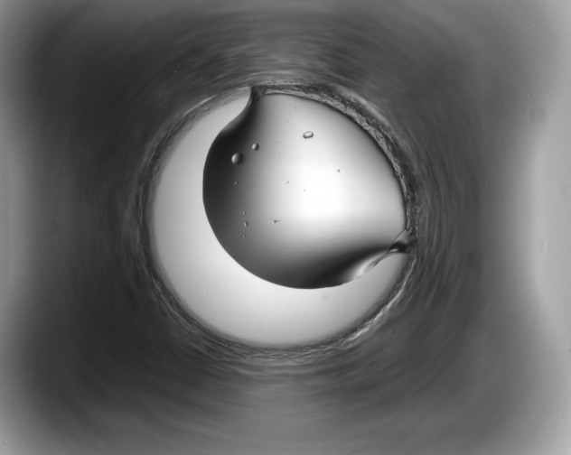 X0000087641402200705311318