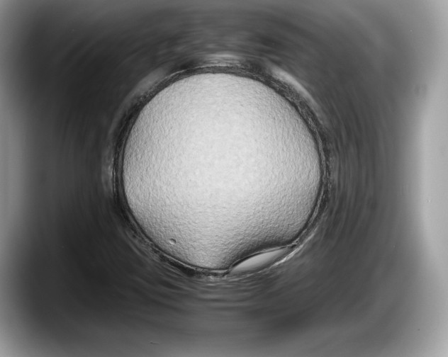 X0000087641403200705311318