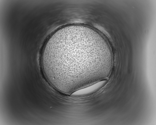 X0000087641404200705311318