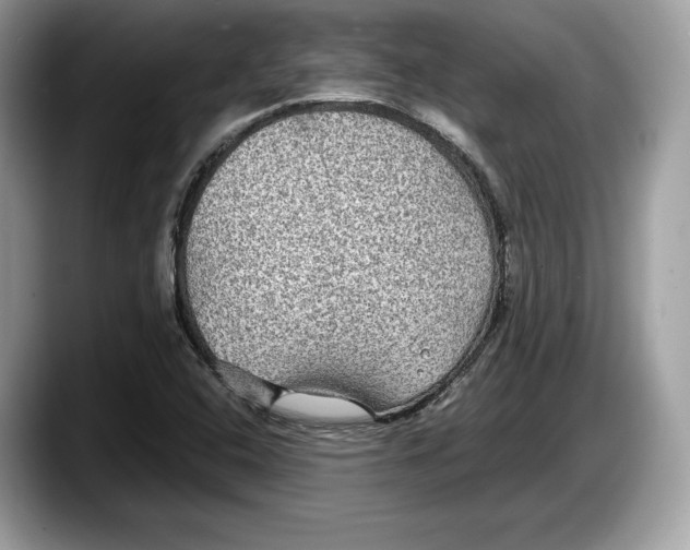 X0000087641408200705311318