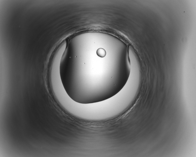 X0000087641410200705311318