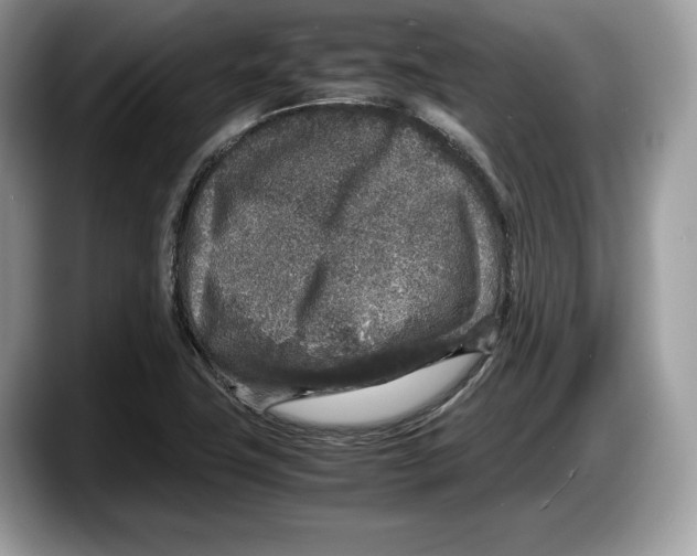 X0000087641411200705311318