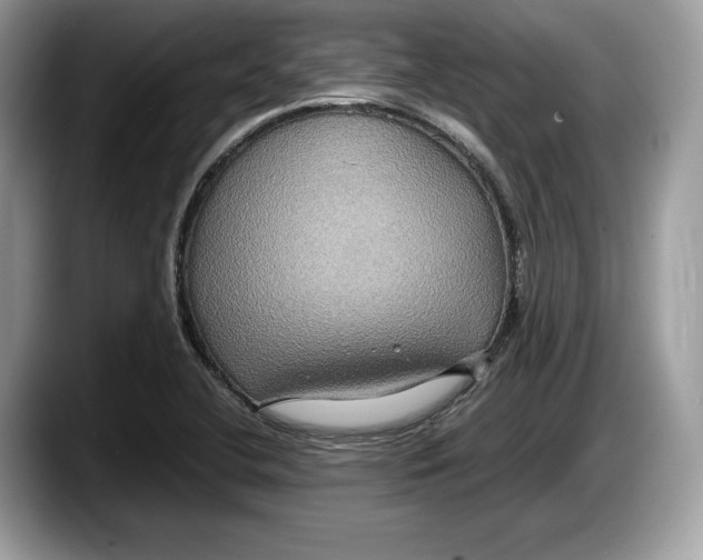 X0000087641412200705311318