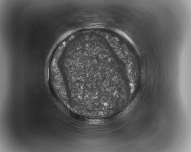 X0000087641413200705311318