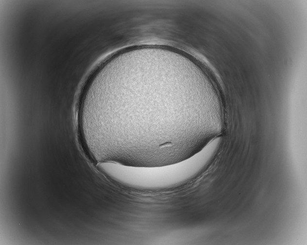 X0000087641416200705311318