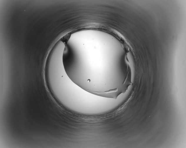 X0000087641418200705311318