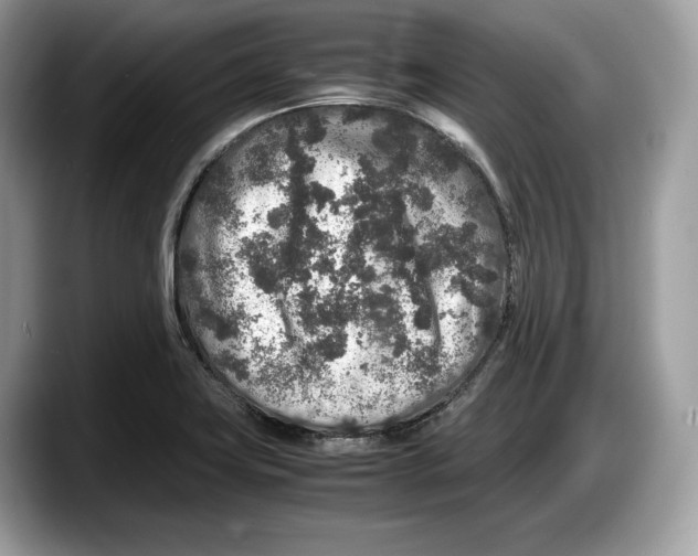 X0000087641419200705311318