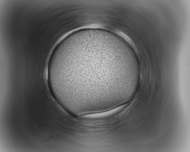 X0000087641420200705311318