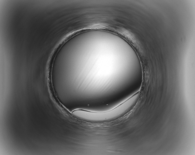 X0000087641422200705311318