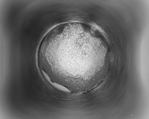 X0000087641423200705311318