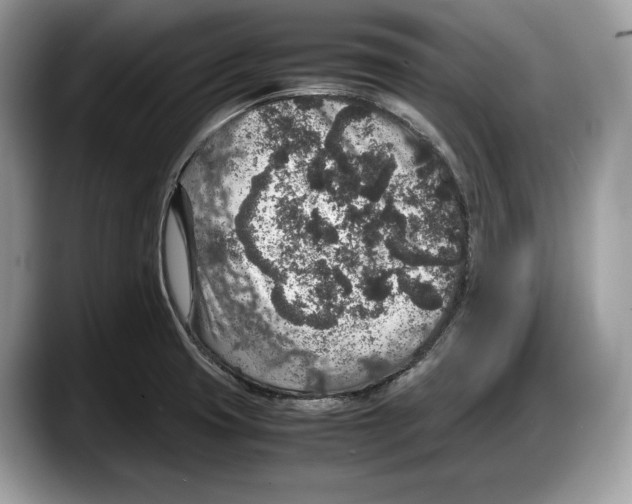 X0000087641425200705311318