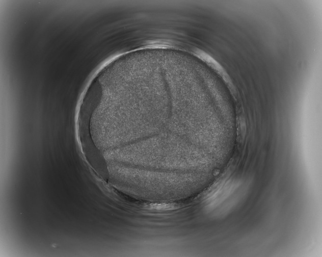 X0000087641427200705311318