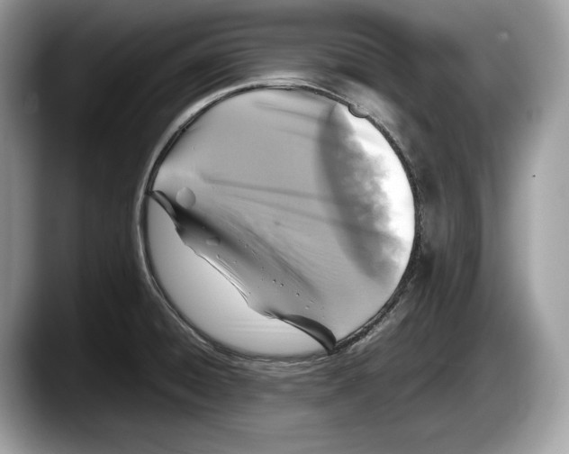 X0000087641428200705311318