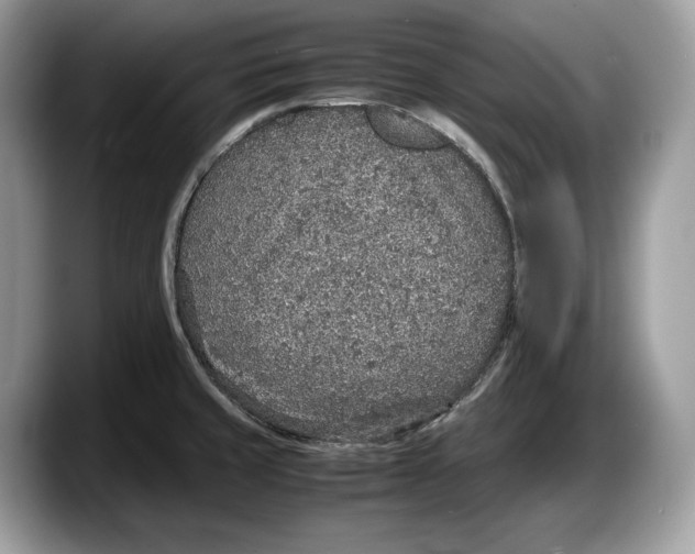 X0000087641429200705311318