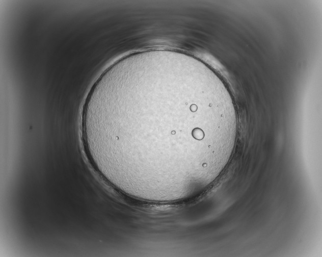 X0000087641431200705311318