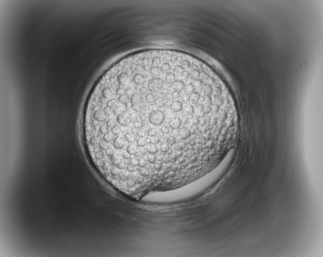 X0000087641432200705311318