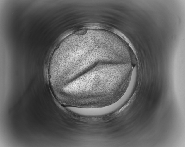 X0000087641433200705311318