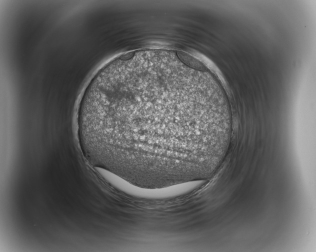 X0000087641435200705311318