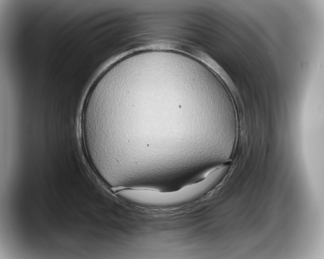 X0000087641436200705311318