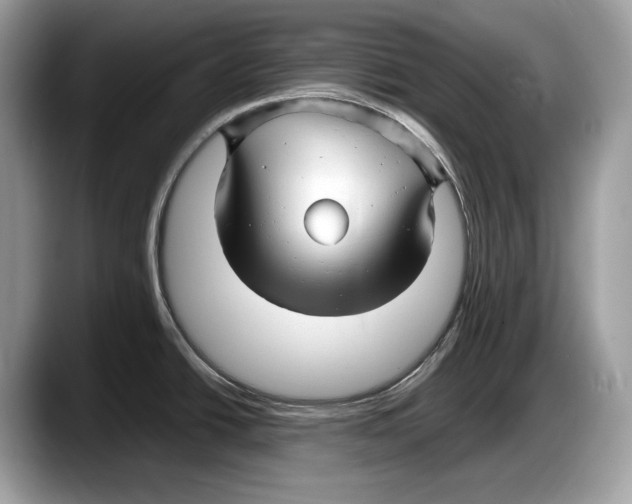 X0000087641438200705311318