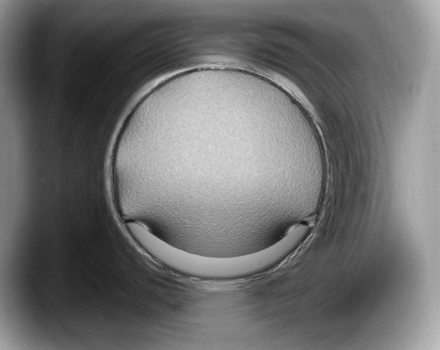 X0000087641440200705311318