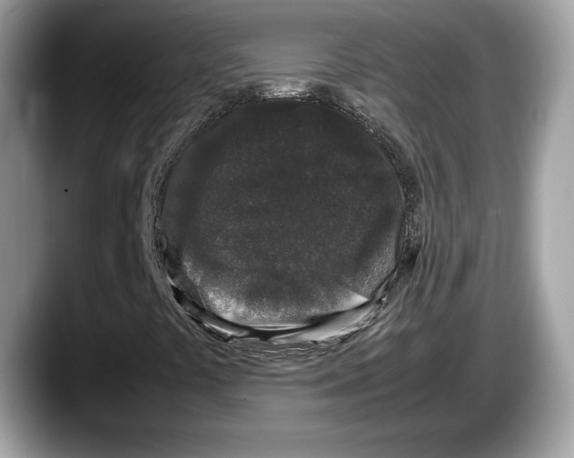 X0000087641441200705311318