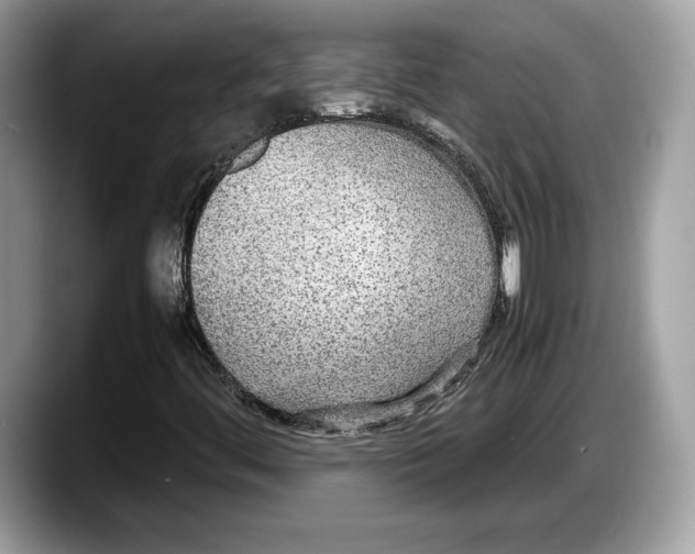 X0000087641444200705311318