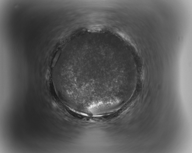 X0000087641445200705311318