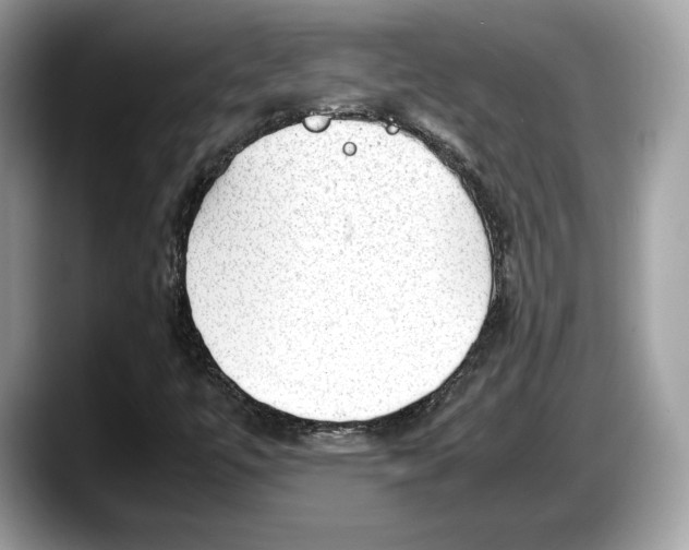 X0000087641447200705311318