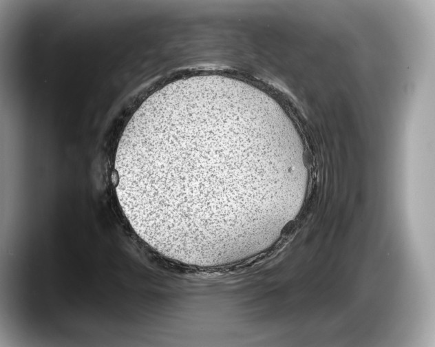 X0000087641448200705311318