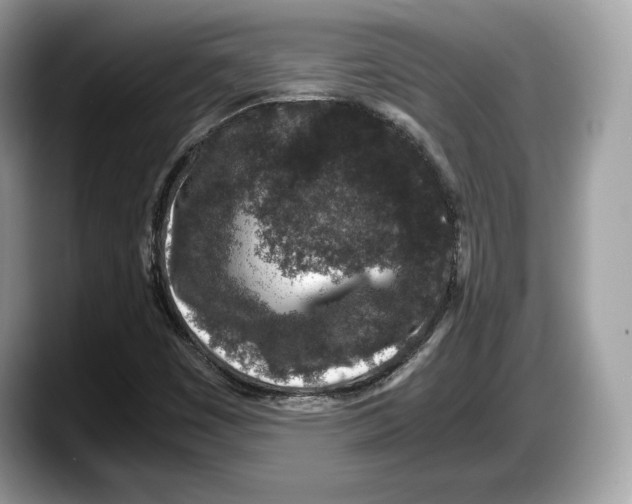 X0000087641449200705311318