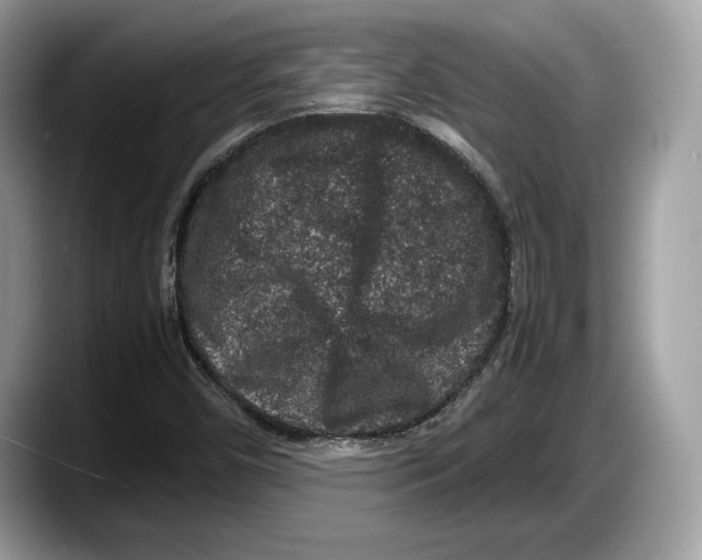 X0000087641450200705311318