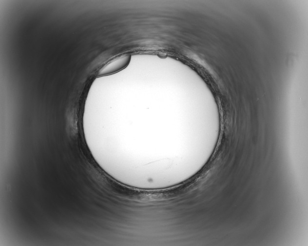 X0000087641451200705311318