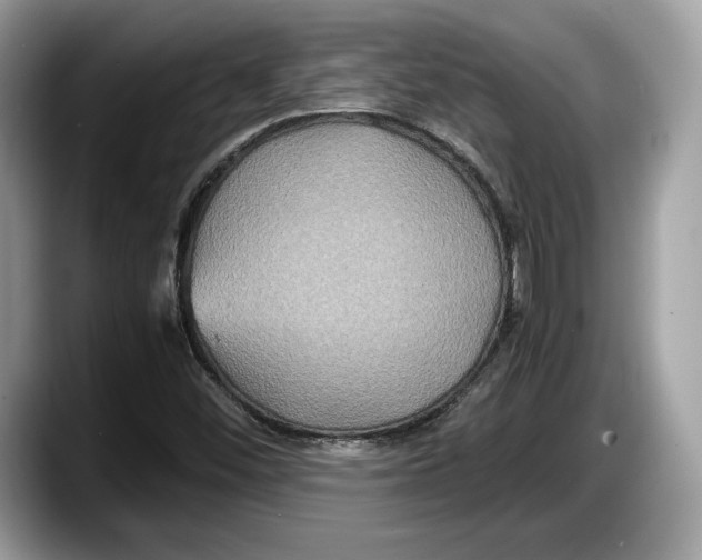 X0000087641452200705311318