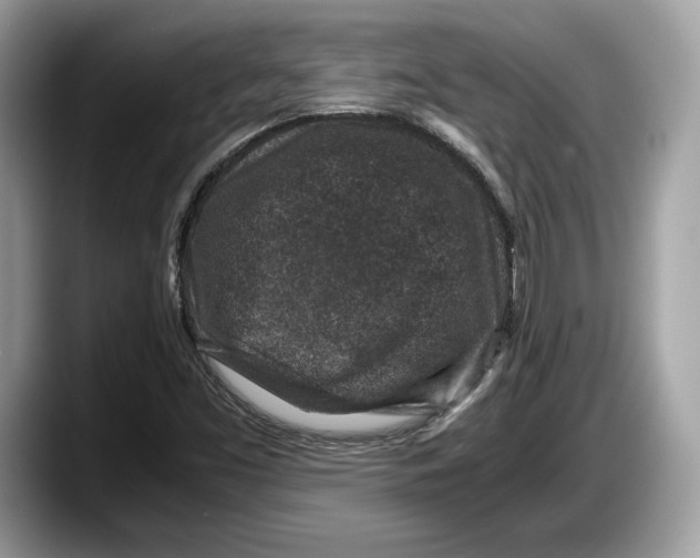 X0000087641453200705311318