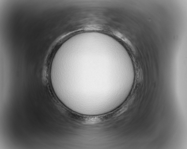 X0000087641454200705311318