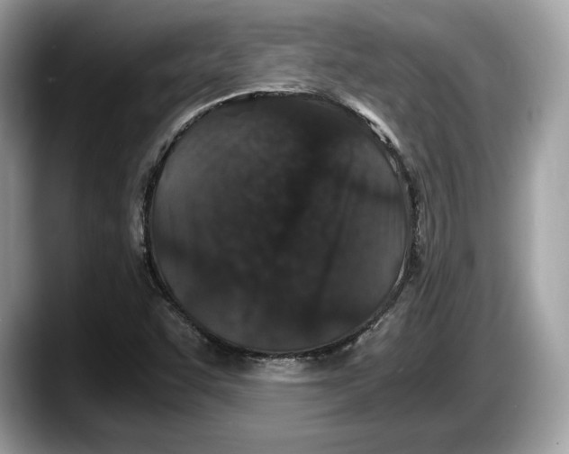 X0000087641455200705311318