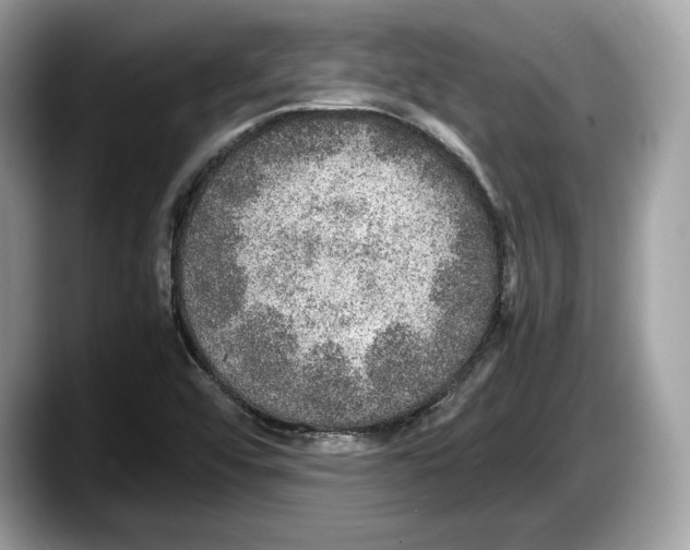 X0000087641456200705311318